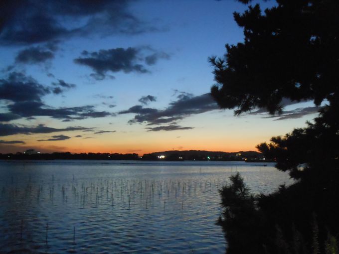 ΂̂gɖISCNr[̑uȌiF