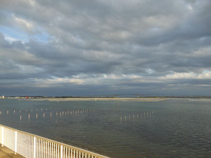 ΂̂gɖISCNr[̑uȌiF