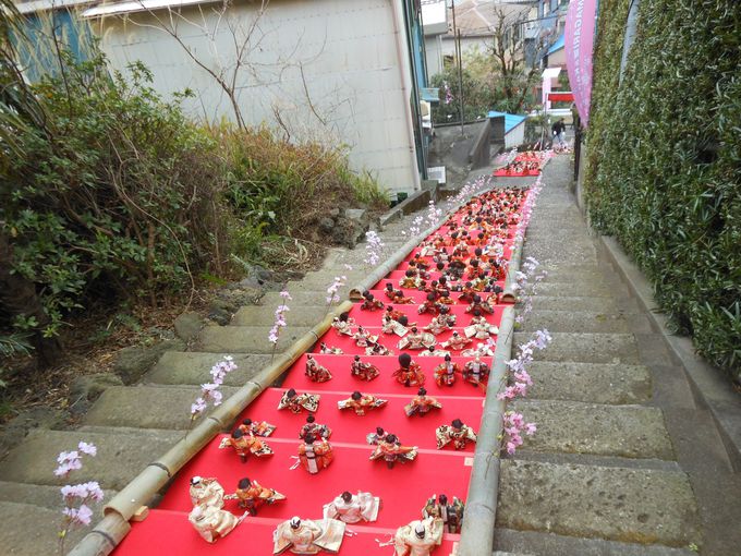 ^ɌI118i̓{ƍꂷb̃X|bguŌ̐dv