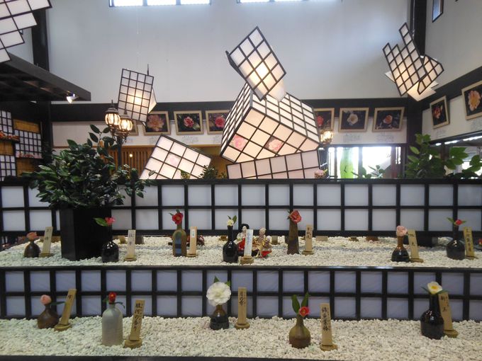 uRE΂̊فvł̃R{WI{ő勉1000E4000{̒ւ炫