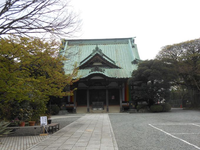 ^ɌI118i̓{ƍꂷb̃X|bguŌ̐dv