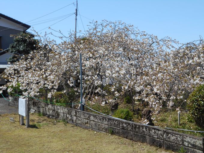 ͐ꉺ}ɑR̉ԁId炫̂