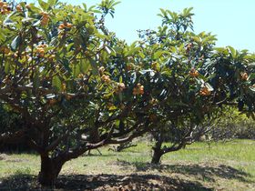 x18xI̔т킪HוIɓEт艀uԖ؉v̋LTlC