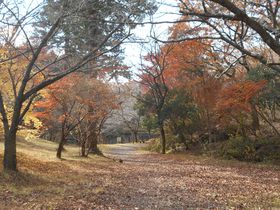 xmR̗n◬ɂgtX|bgIxmsuۉΎRv̋LTlC