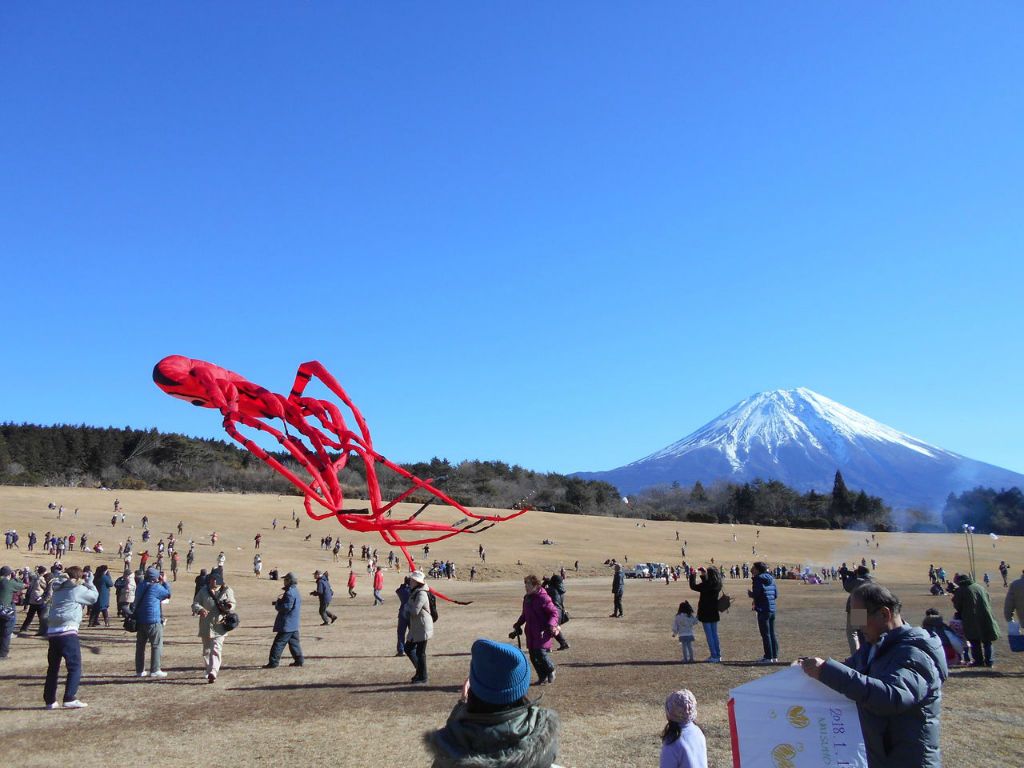 25ｍの巨大タコも出現！富士宮「たこたこあがれin富士山」