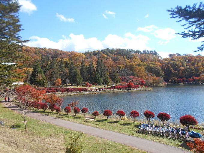 静かな湖畔で愛でる 一足早い信州の紅葉は 蓼科湖 へ 長野県 Lineトラベルjp 旅行ガイド