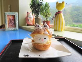 可愛すぎる猫シューが人気！台湾の猫村「猴硐(ホウトン)」
