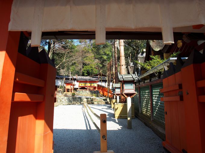 140�N�Ԃ�̉��ցI��{�a�̌�a��