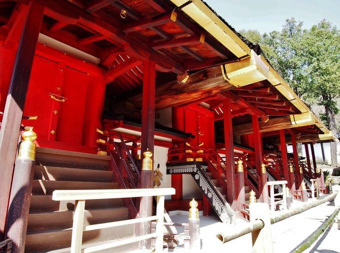 ���܂łƂ͈Ⴄ�A�{���ɓ��ʂȌ�Q�q�I�t����Ђ̎��N���ւƂ́H