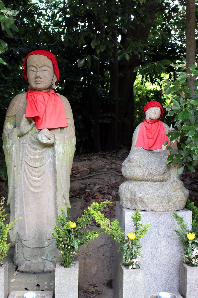 僧侶と巡るロータスロード 奈良 薬師寺 唐招提寺 喜光寺 西大寺 奈良県 Lineトラベルjp 旅行ガイド