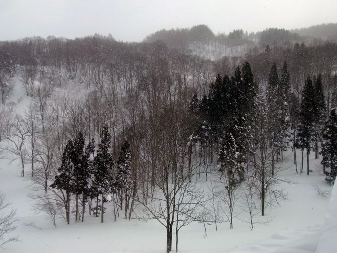 パワースポット月山は出羽三山の１つ！志津温泉が裾野に広がる雪の名所！