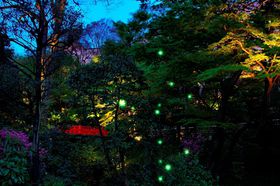 �u�z�e���֎R�������v�̌��z�I�Ȓ뉀�Łg�ق���̗[�ׁh���y�������I�̋L���T���l�C��