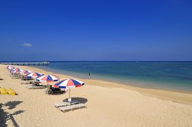 �Ί_���u���q���v1��2�����f���R�[�X�I�h���C�u�Ŗ��i���悤�̋L���T���l�C��