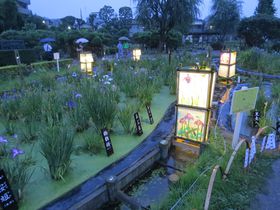 �����E���� �x�؏Ҋ��� �`�]�˂̐��`�u���Ȃ���M���Ă��܂��v�̋L���T���l�C��