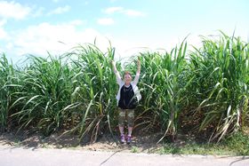 {œ[EgƊԓITgELrƊC𒭂߂Ȃ玩]ԂGOI̋LTlC