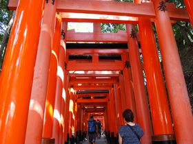 楽ちん♪京都の人気観光地を座って巡れるバスツアーとは？