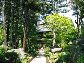 �Q�n���A�@���R�@�g�ˎ�����̋L���T���l�C��