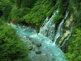 �u���[���o�[��H���āA���E���Œ��ڂ̐��r�ւ̋L���T���l�C��