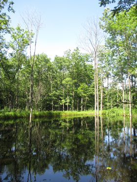 ����̖k�C���K�[�f���X������@�S��D������ށu�\����N�̐X�v�̋L���T���l�C��