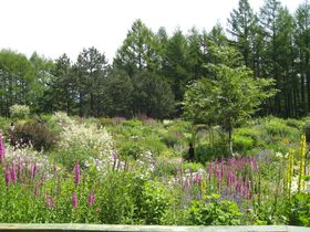 ����̖k�C���K�[�f���X���@����h���}�̕���ƂȂ�������̃K�[�f���v�̋L���T���l�C��