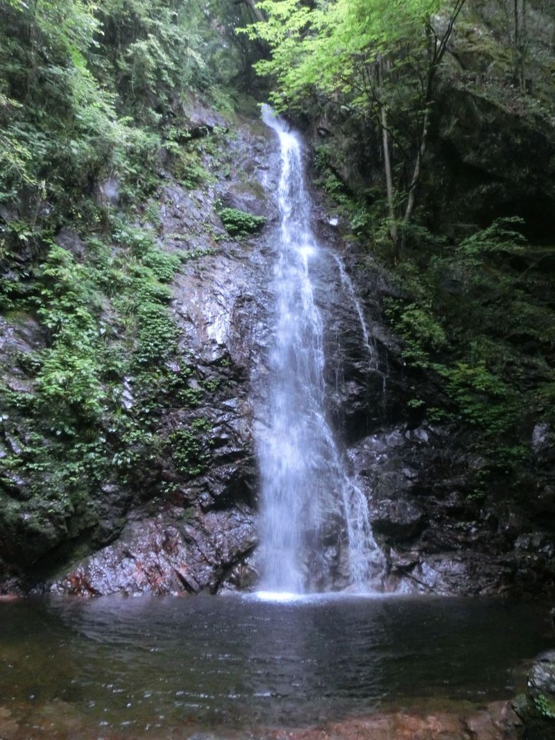 東京にもありました日本の滝１００選!！檜原村にある「払沢の滝」は癒しのスポット