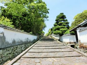 啪nzE{B́uThCb`^鉺vĂȂ񂾁IH̋LTlC