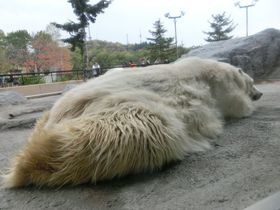 lły߂|Cg͂IuRvlC̔閧̋LTlC