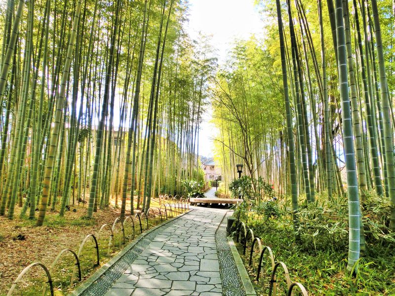修善寺のおすすめ観光スポット10選！“伊豆の小京都”をめぐる旅