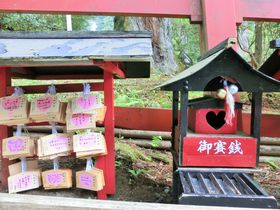 �n�[�g��T���I�p���[�X�|�b�g�u������r�R�_�Ёv�͉����т̐_�l�̋L���T���l�C��