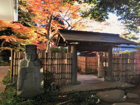 世田谷にある穴場の紅葉名所「五島美術館」の美しい庭園は見どころいっぱい!