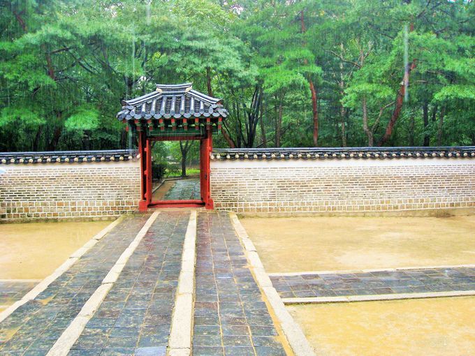 ���ł��󂯌p�������J