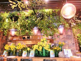 花と緑に囲まれて「青山フラワーマーケット ティーハウス」でティータイムを