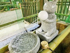 歯の神様「荻窪白山神社」は可愛い猫の石像探しも楽しい！