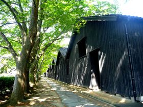 ��c�ł�����ƁI�k�O�D�̈�Y���z�����y�������I�̋L���T���l�C��