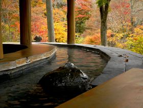 ���̉����~�ɂ������X�y�[�X�I�S���z�b�ƏH�ہu�؂̉ƁE�V��t���R�����v�̋L���T���l�C��