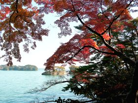 �V���������Ɍ������Ȃ���{�O�i�E�����̗Y����Y�ꂸ�ɁI�̋L���T���l�C��