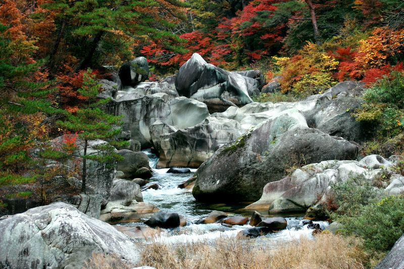 白い岩肌と木々の色彩が織り成す渓谷美！山梨県「御嶽昇仙峡」の絶景紅葉