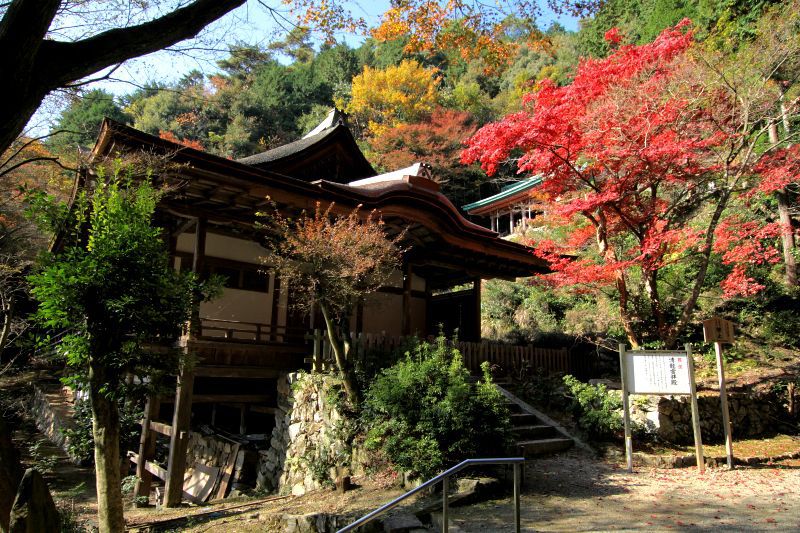 山上の国宝と自然に癒される、世界遺産「醍醐寺」の神髄は上醍醐にあり！