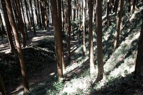 c̒zZpۂƎcImVsuË{Ձv̋LTlC