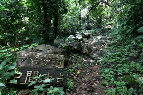 EAmւ͌Â̓oHun^včsI̋LTlC