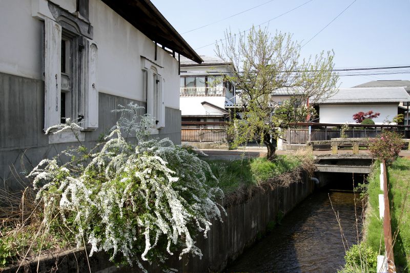 ���Ƃ��������A���̌������鐅�H�͕K���I