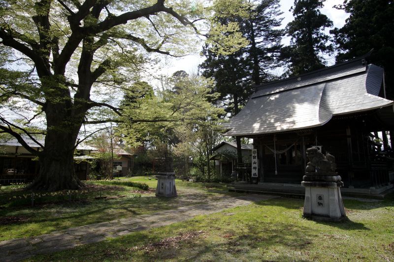 �Â�����ʂ̗v�ՂƂ��ĉh��������̒���