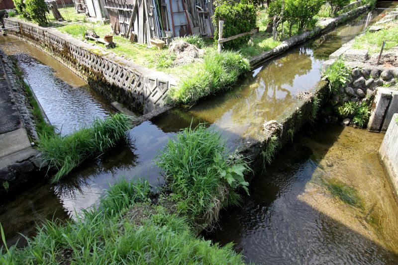 29Ď鐅HIŏM^ŉhu̒v