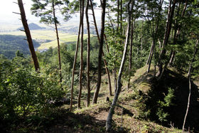 bzkő勉̒RIÁuHRv̋LTlC