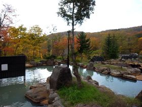 �����̕��K���I�܂�ŉ��ϐ��̂悤�ȃE���g�������̓��@�k�C���j�Z�R ���z����u�j�Z�R�O�����h�z�e���v�̋L���T���l�C��