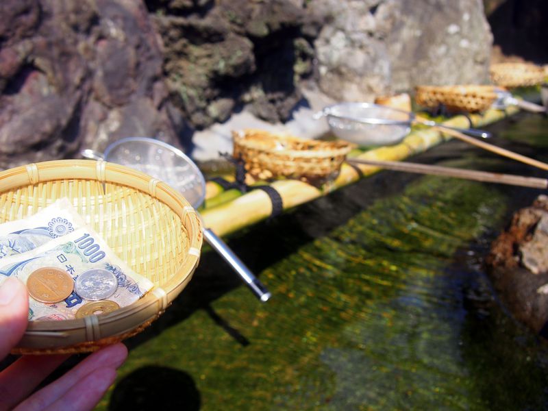 遊び心のある「川越熊野神社」で金運UPに運試し！健康チェックも？