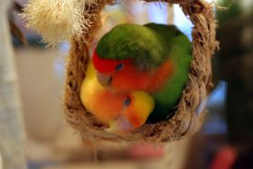 ���f�B�A�Řb��I���킢������u���Ƃ�J�t�F�\�Q���v�B���ӂ��ӑ̌�����̋L���T���l�C��