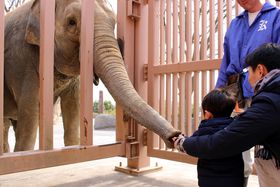 ���͖��_�I�]�E��L�����̃G�T���̌��I�����u���݂˓������v�͓������߂��Ē��y�����I�̋L���T���l�C��