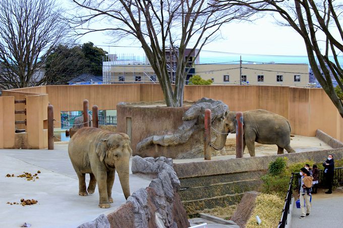 ]EȂ̃XC[c^CI߂̓TUR[q[I