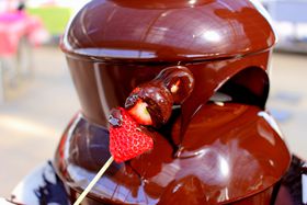 uh~[t@[v̓P[L̂I̋LTlC